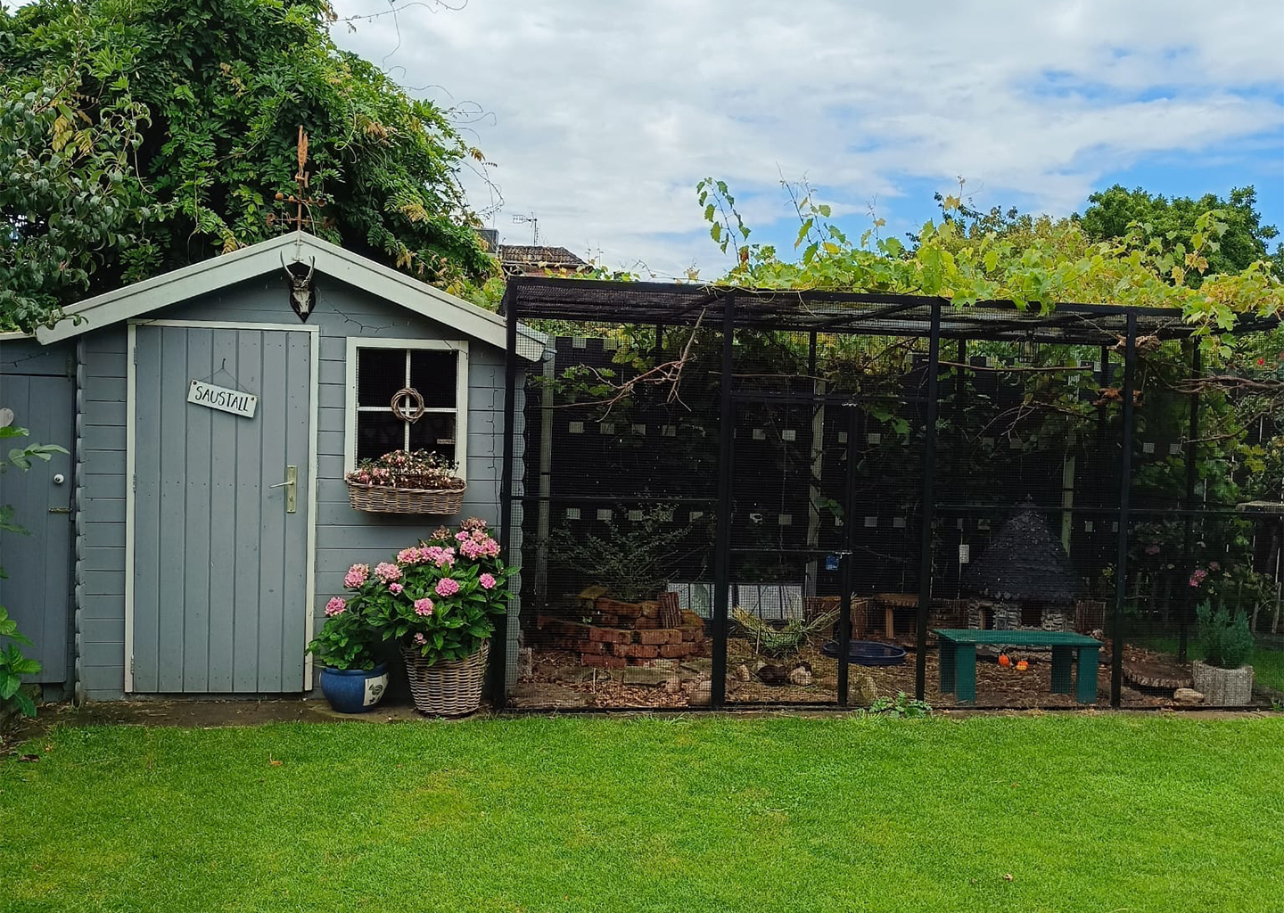 Kaninchen und Meerschweinchen Gehege, artgerechte Haltung, Gehegeinspiration